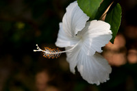 Thailand 2012